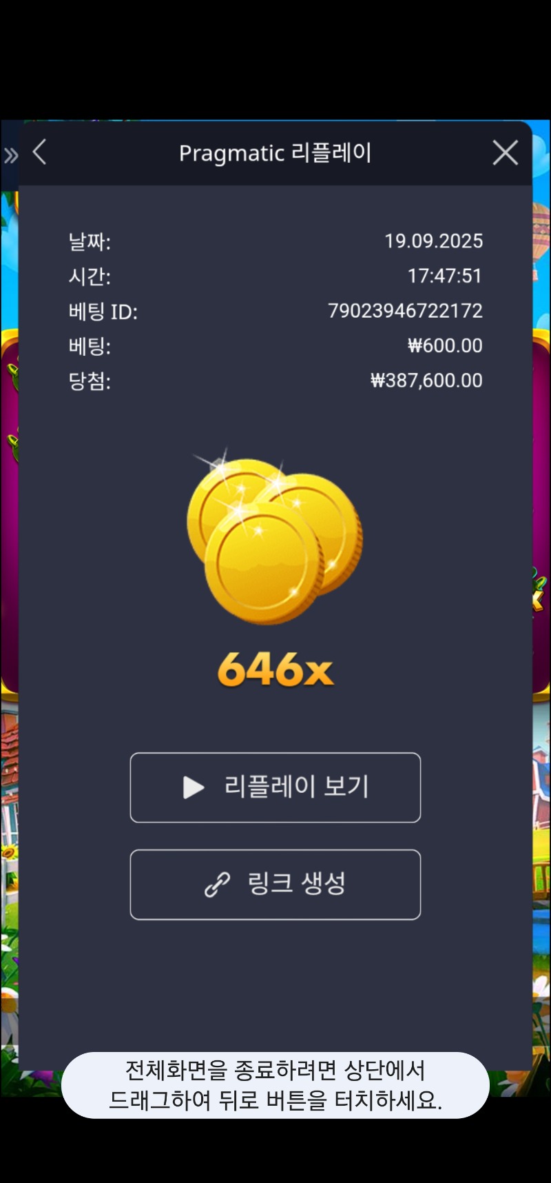 황물조리게 646배