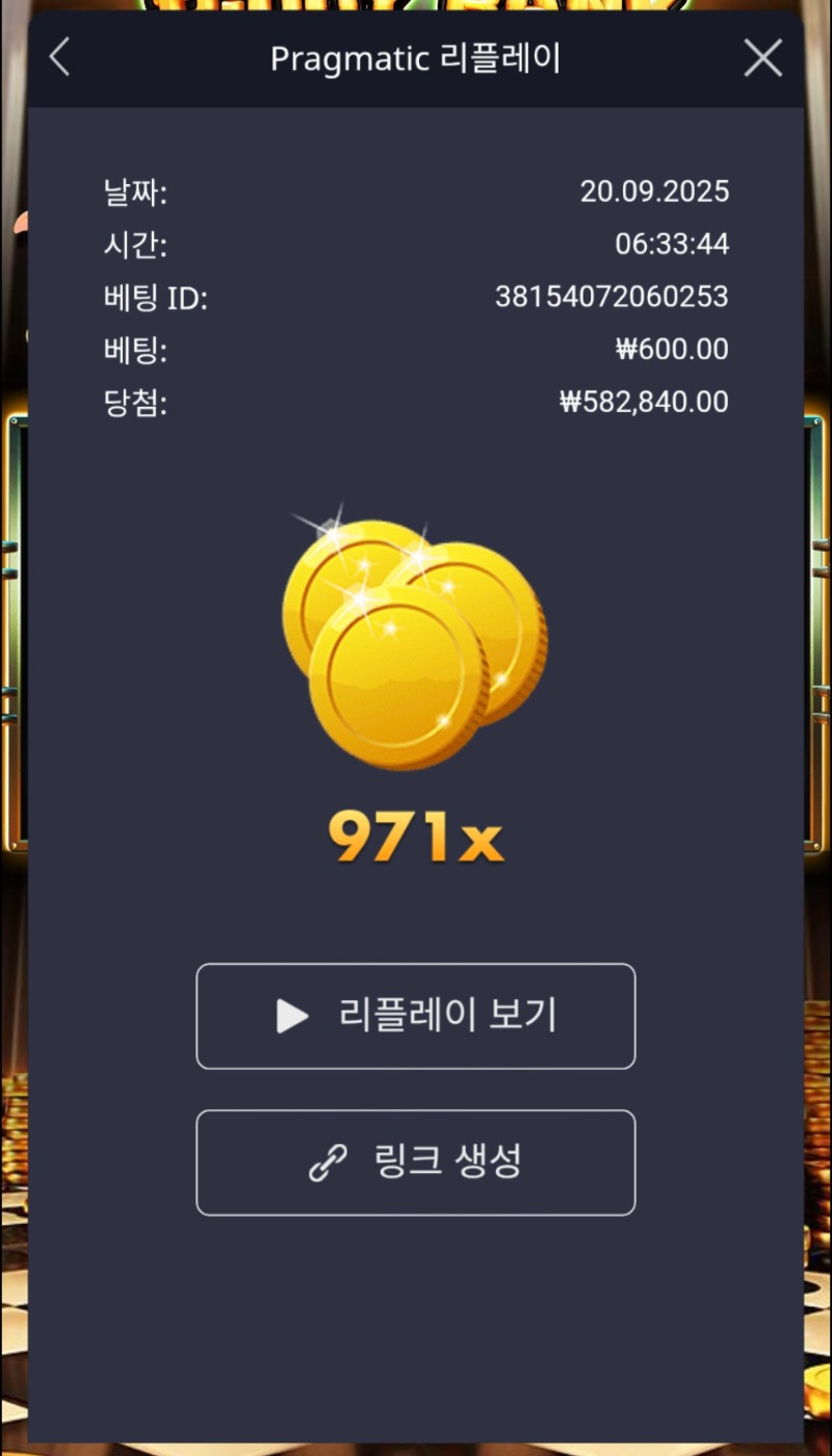 호넷 후기 ~!!