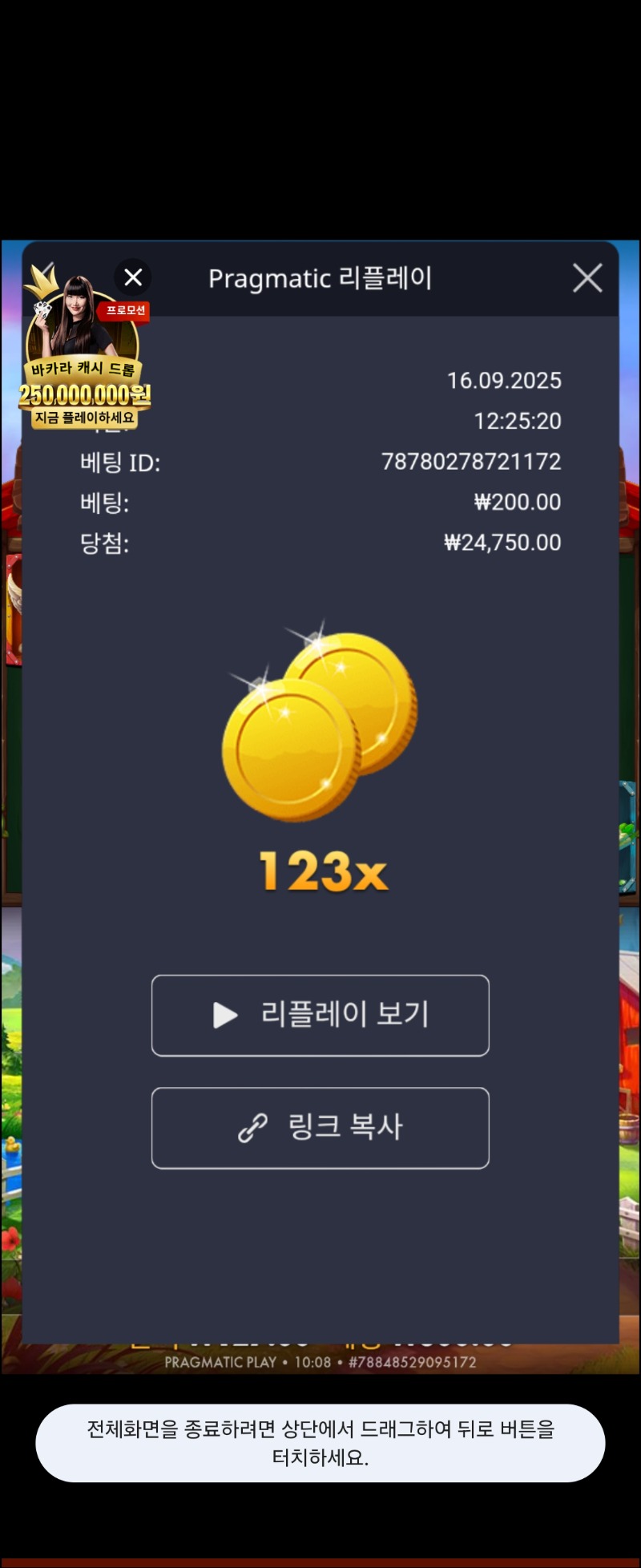 트위티하우스 123배