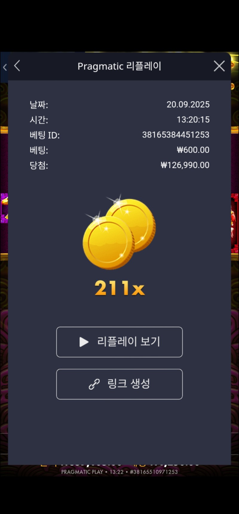 토라메 211배