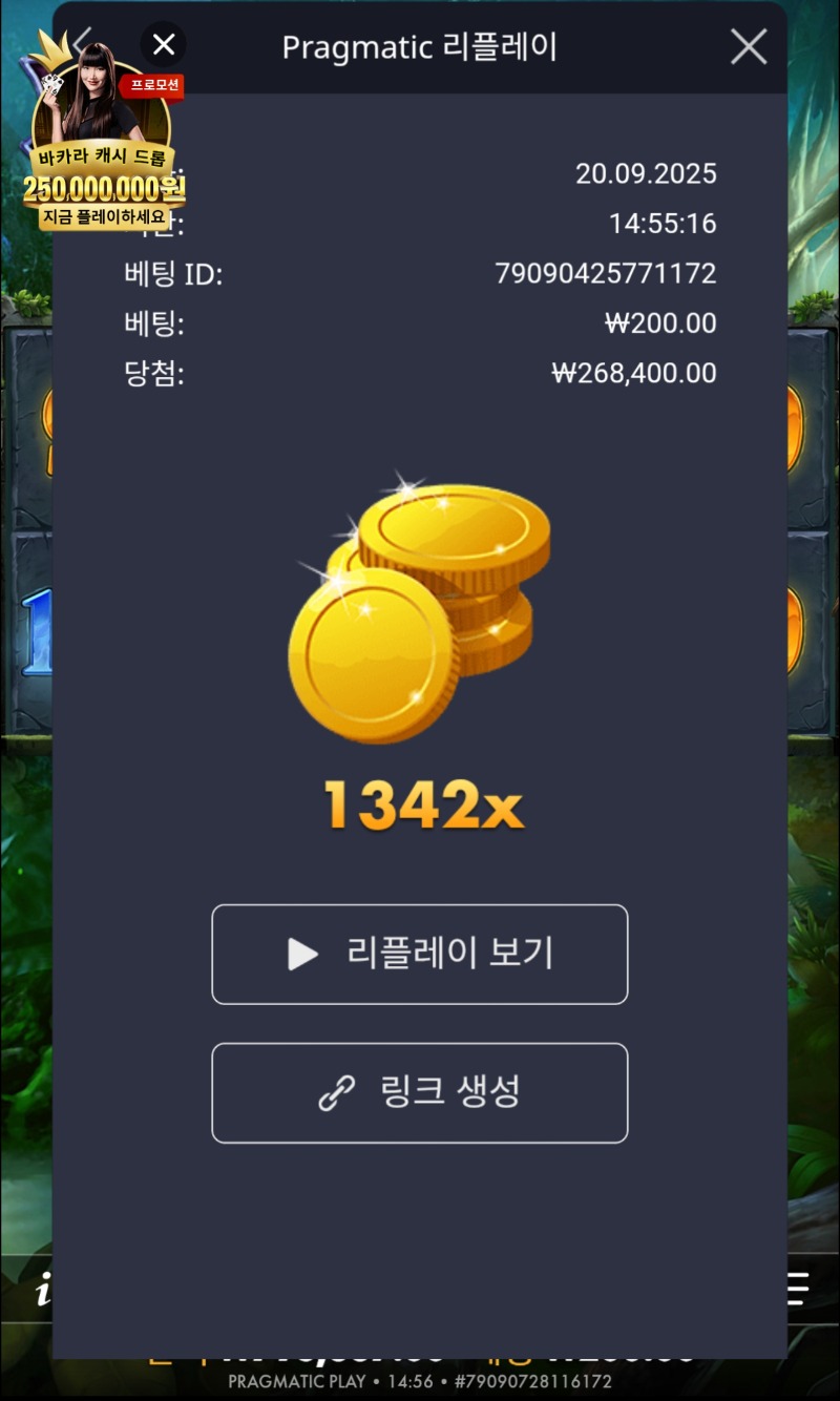 멀린 1342배