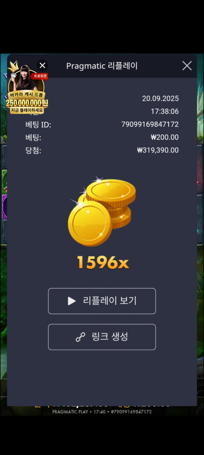 멀린1596배