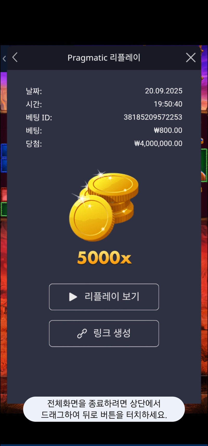 버메가 맥스5000배