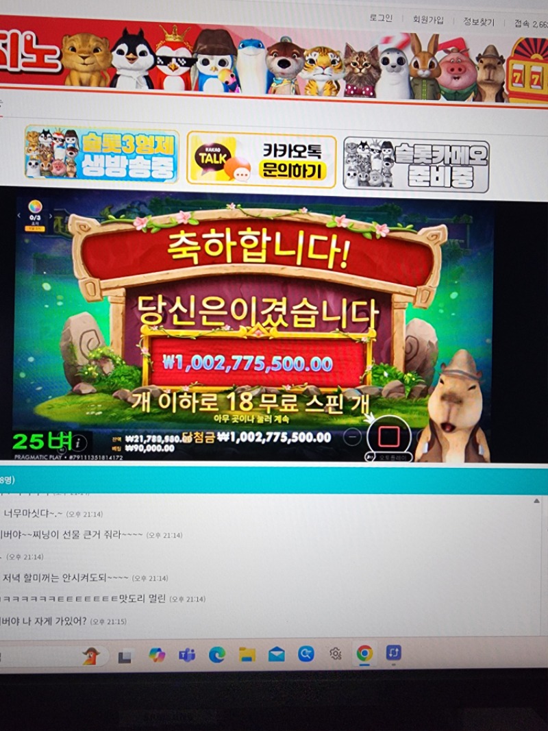 비버  멀린10억