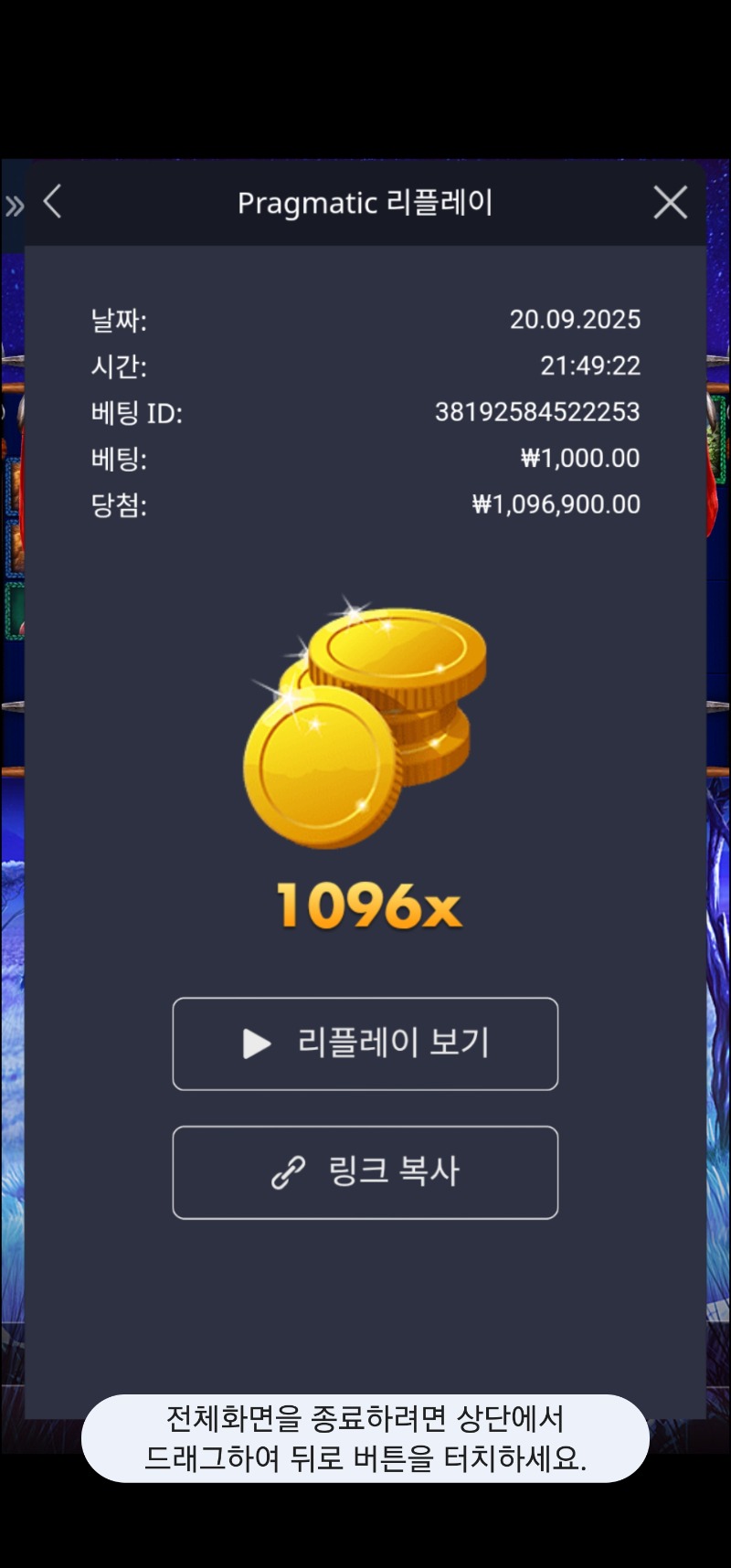 버메가 1096배
