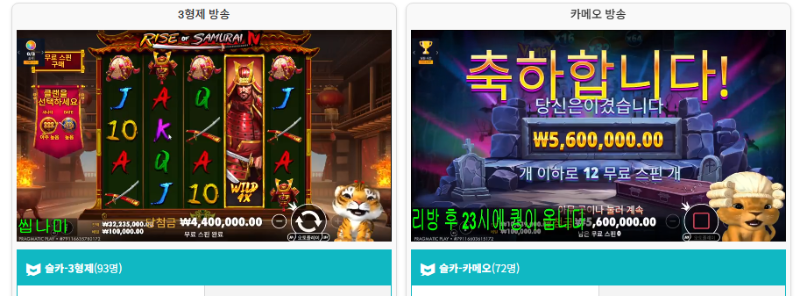 동시방송보기