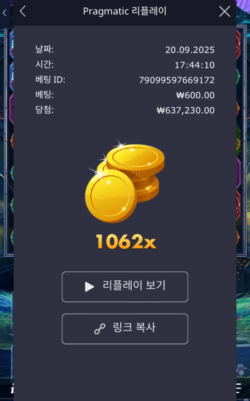 파포 :