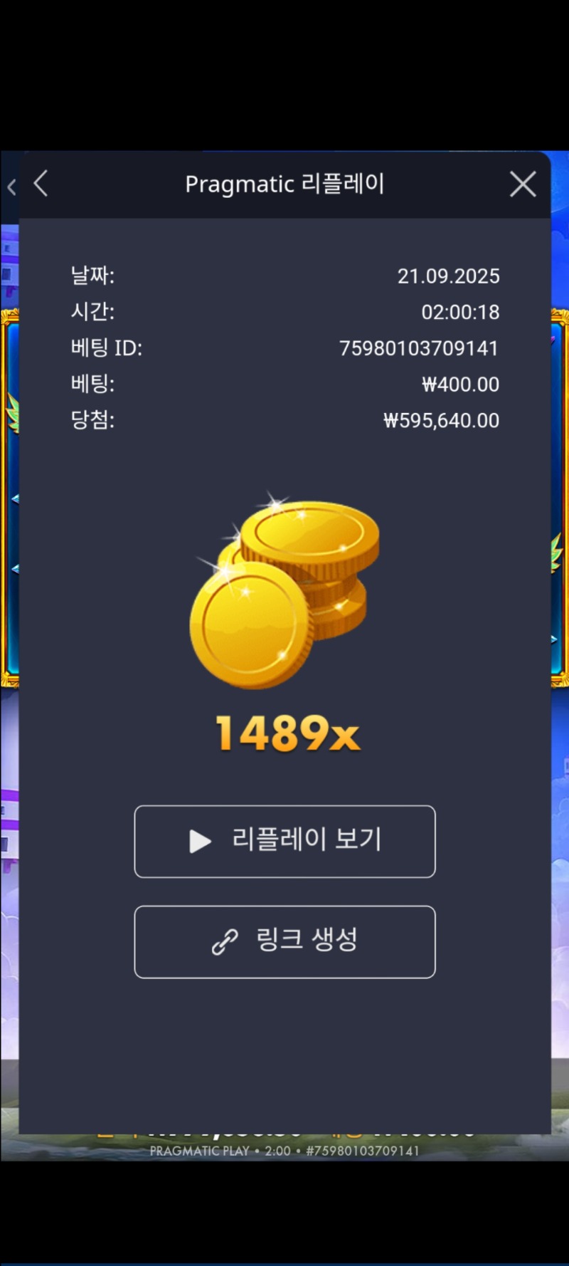 공주1 1489배