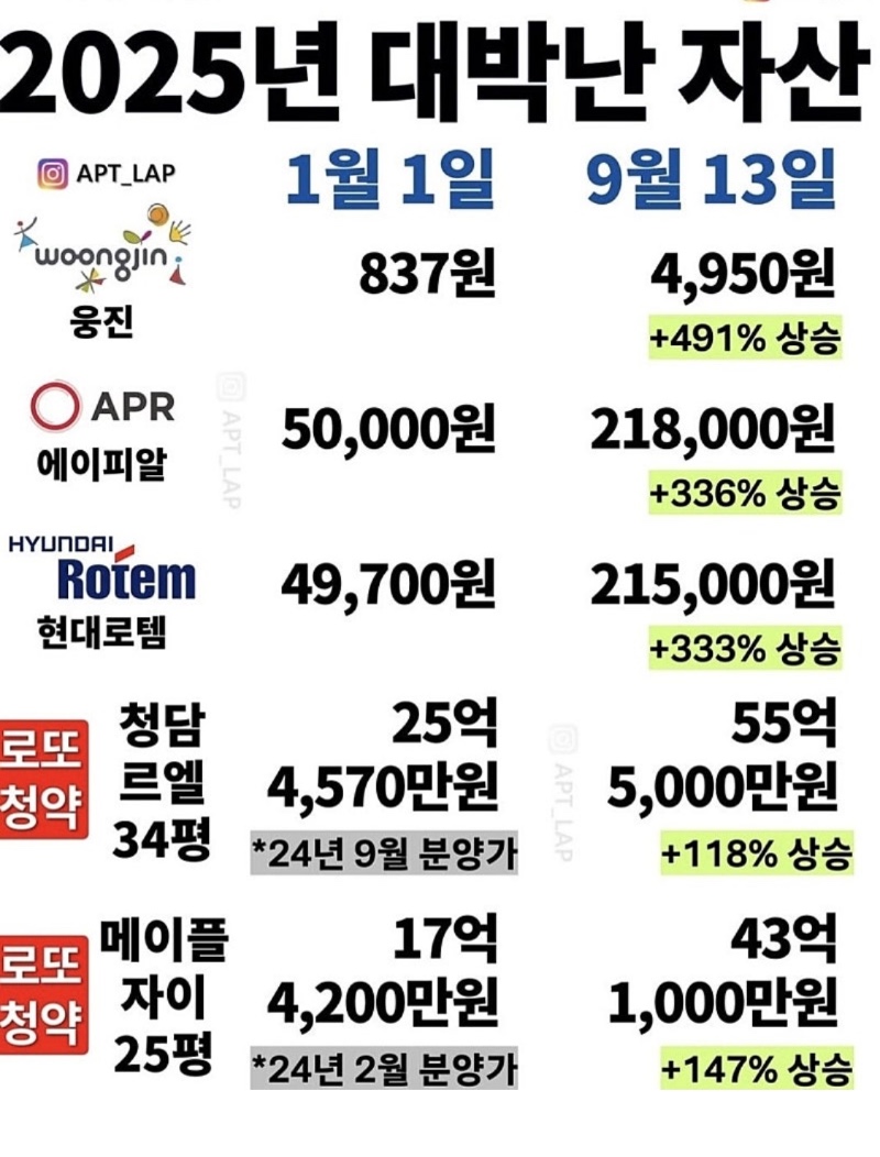 2025년 대박난 자산