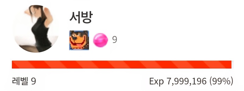 이걸끝으로  개집 벗어납니다ㅎㅎㅎ
