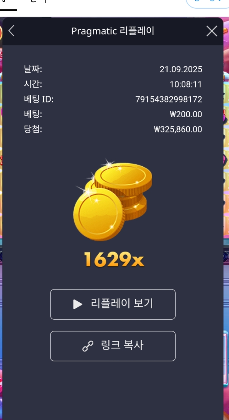 로얄슈천1629배