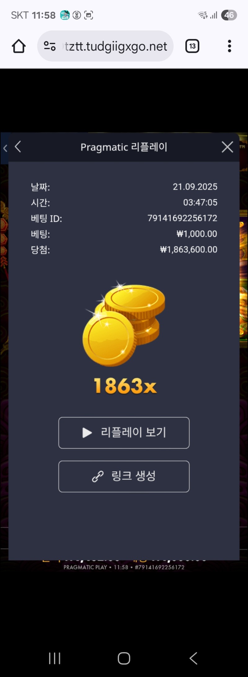 토라메 1863배