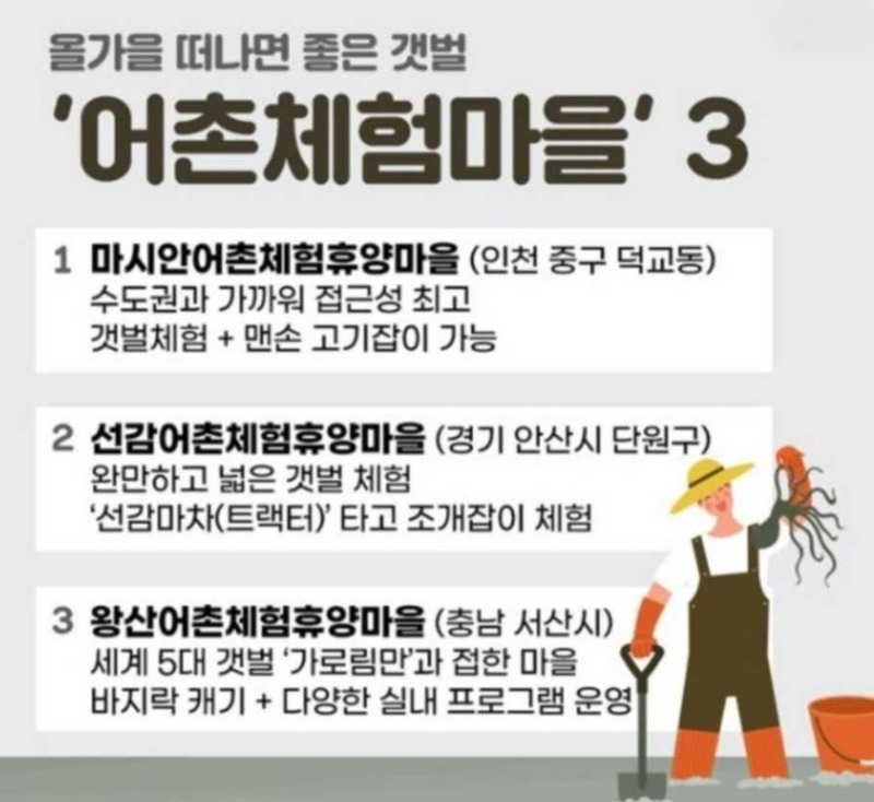 가을어촌체험