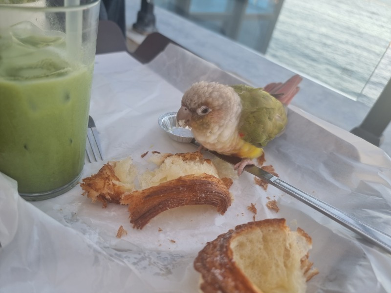 아ㅡㅡ 저기요 제빵인데요?