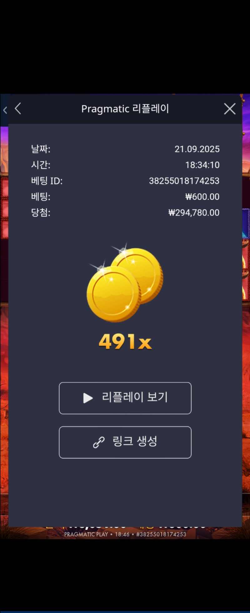 버메가 491배