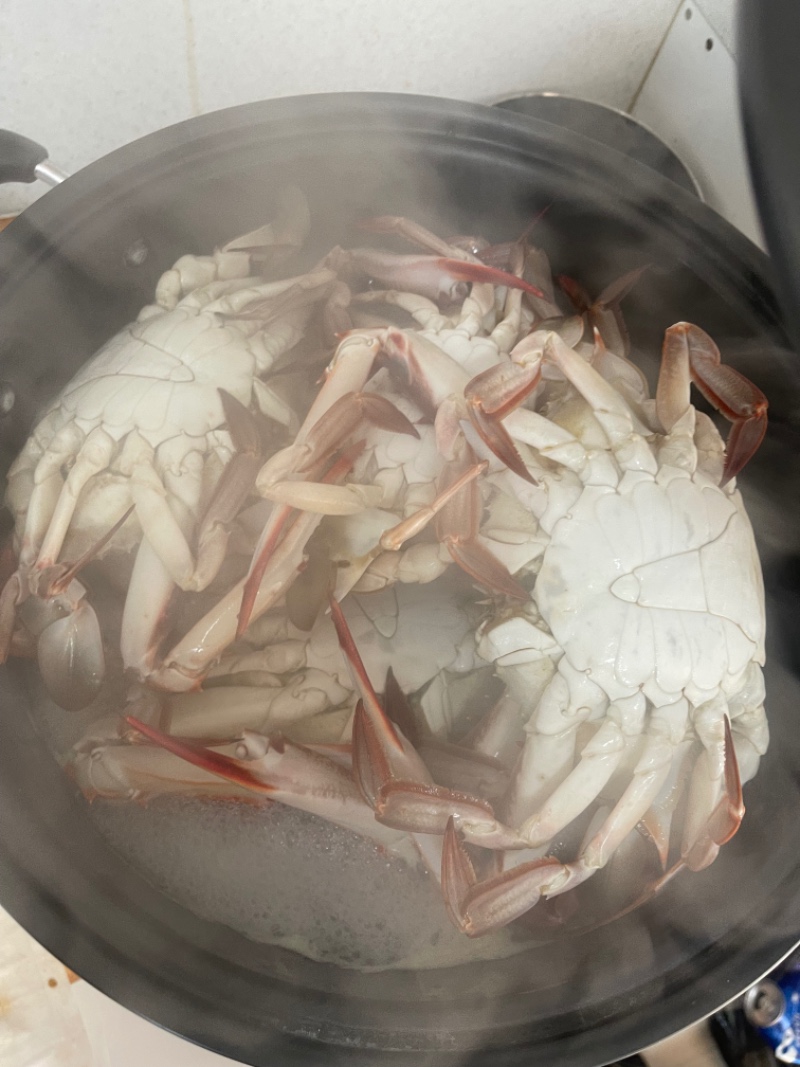 오늘 쭈꾸미 낚시 및 저녁ㅎ (P.S. 양사장님)