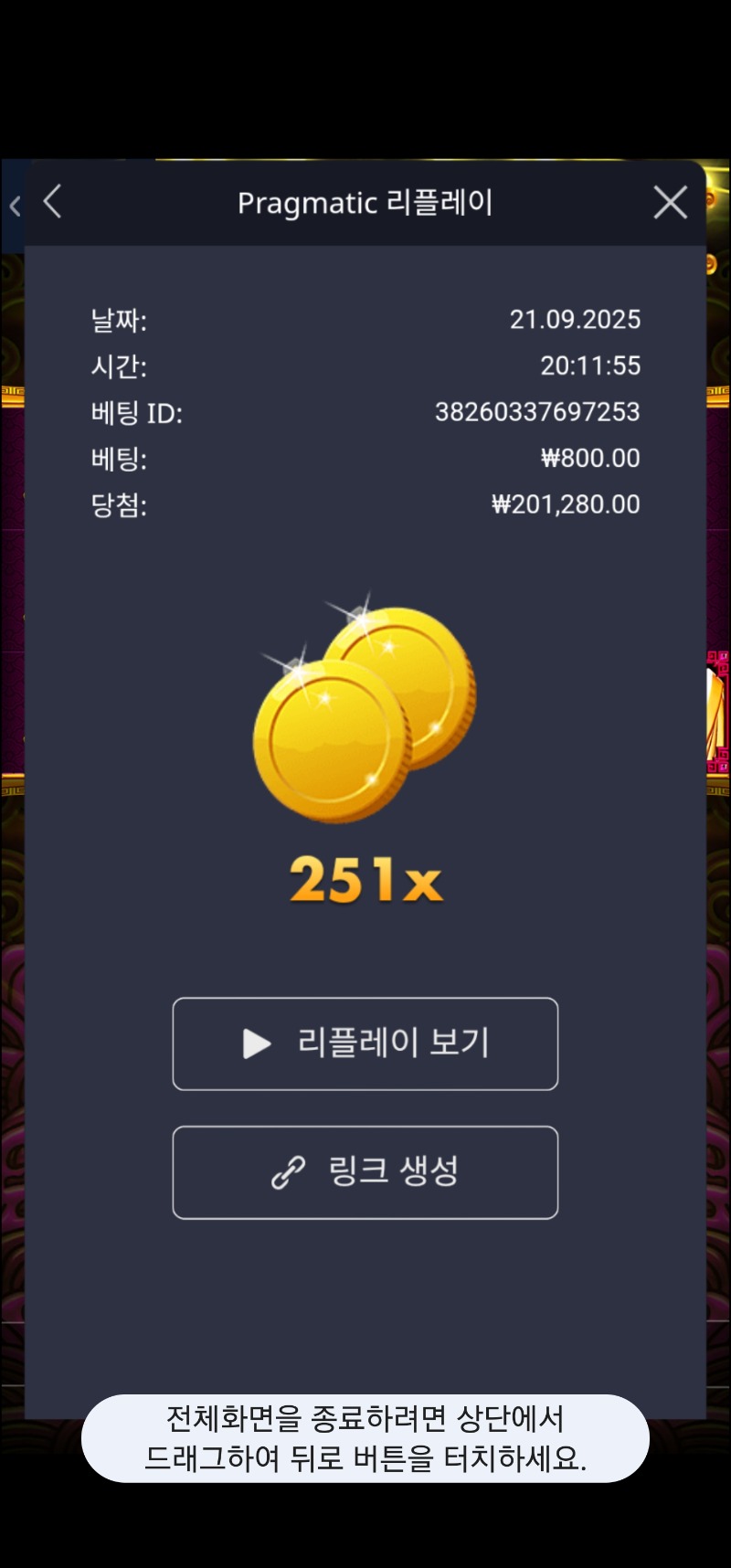 토라메 251배