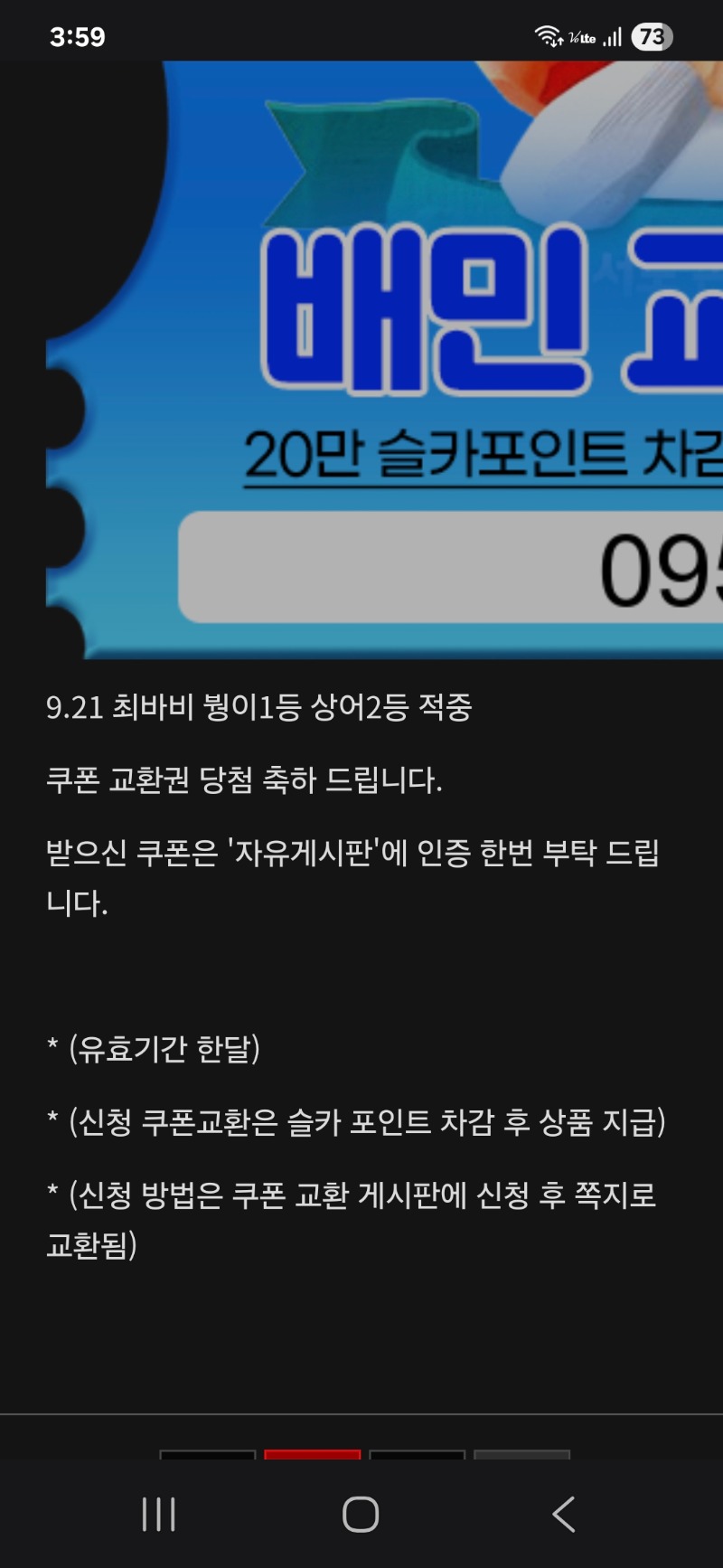 최바비적중