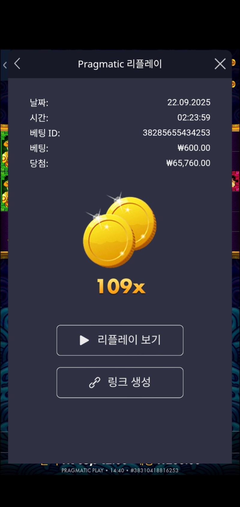 토라매109배