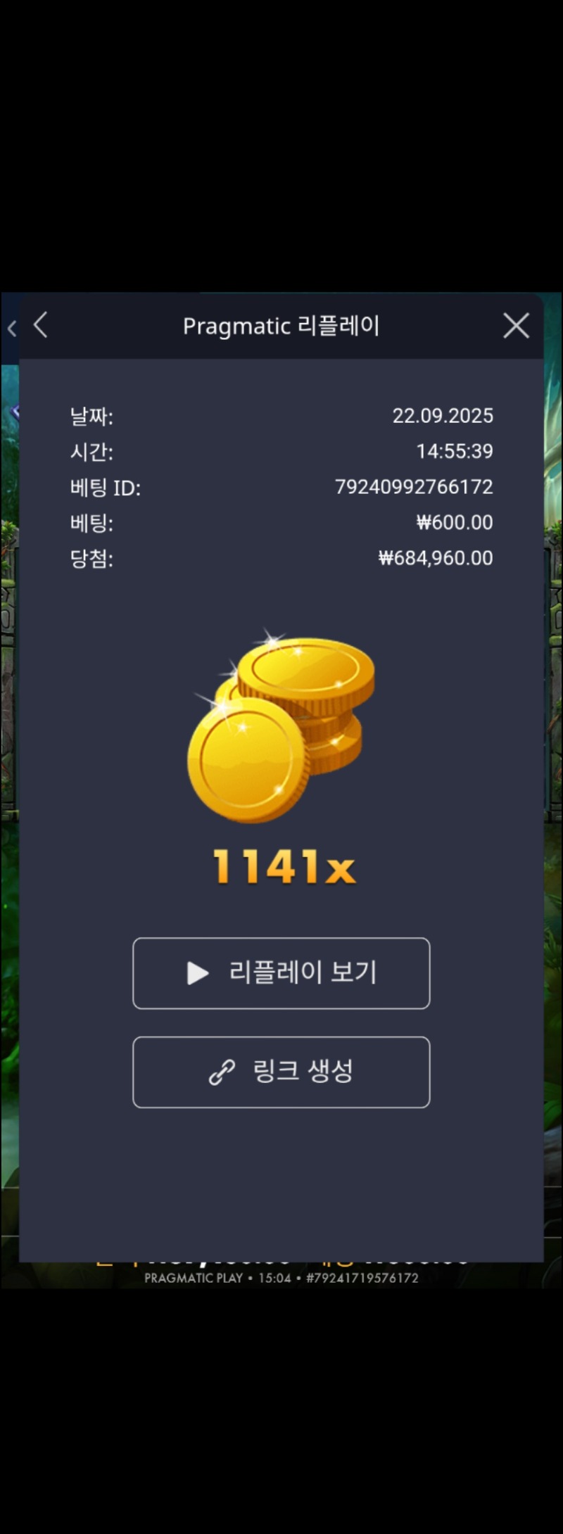 멀린 1141배