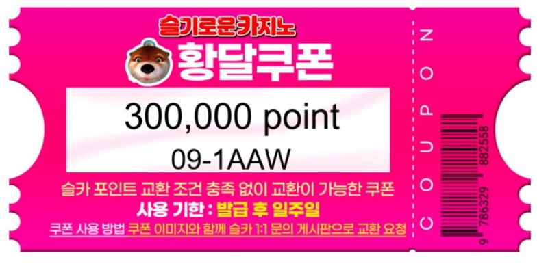 달이 파포 : 쿠폰