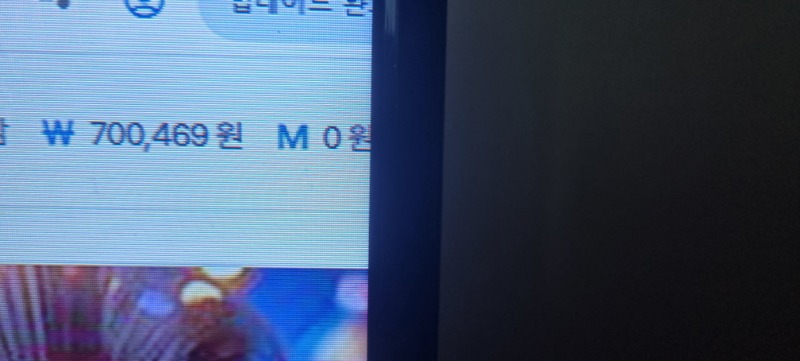 포교 들어왔네요