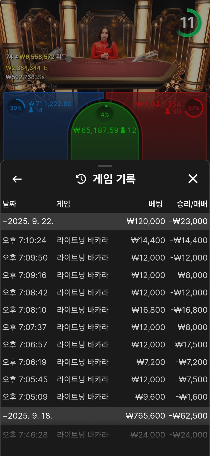 바카라.디짐