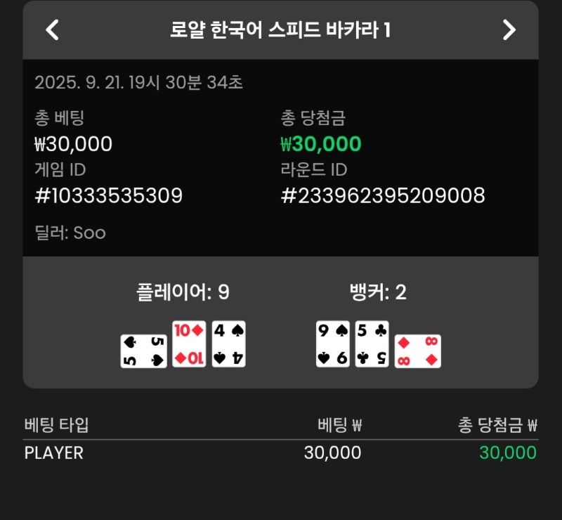 바카라 플레이어 2승