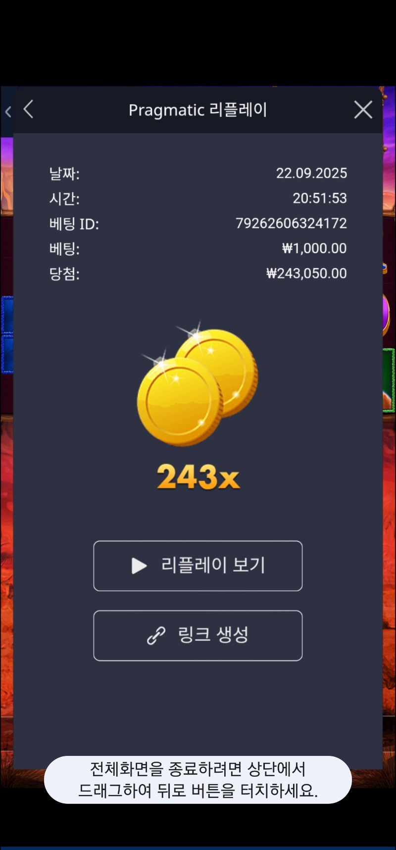 버메가 243배