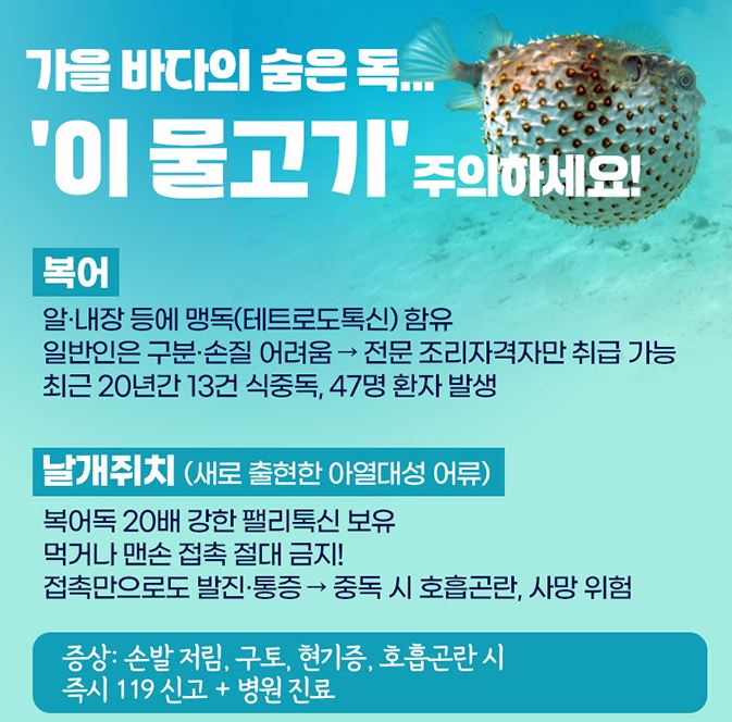 가을바다숨은독