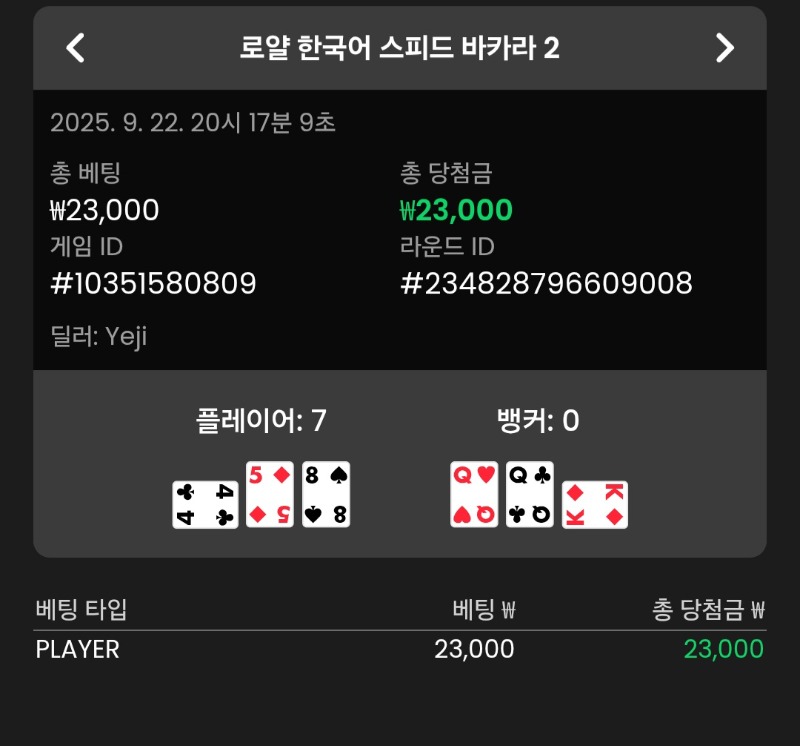 바카라 플레이어 3승