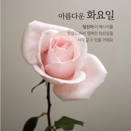 아름다운♪화요일♪되세요.ღ