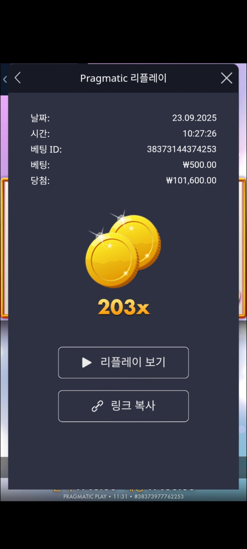 엑스쥬시203