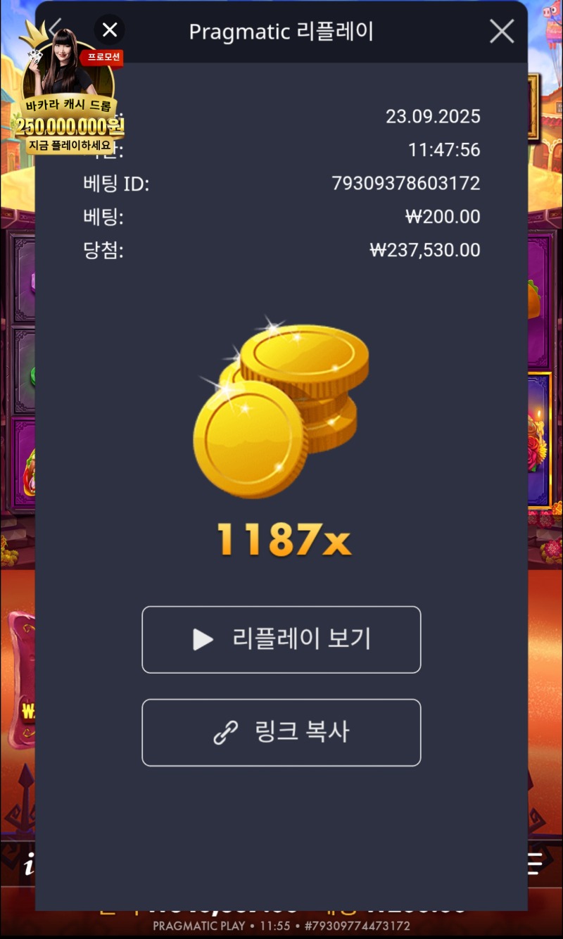 무에르 1187