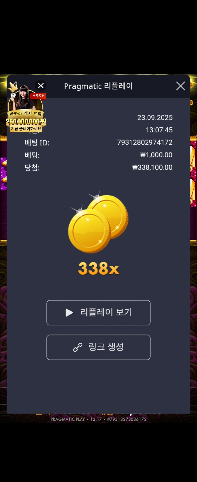 토라메 338