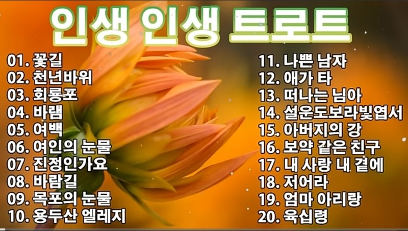 이제나도~  늙었나바요ㅎ
