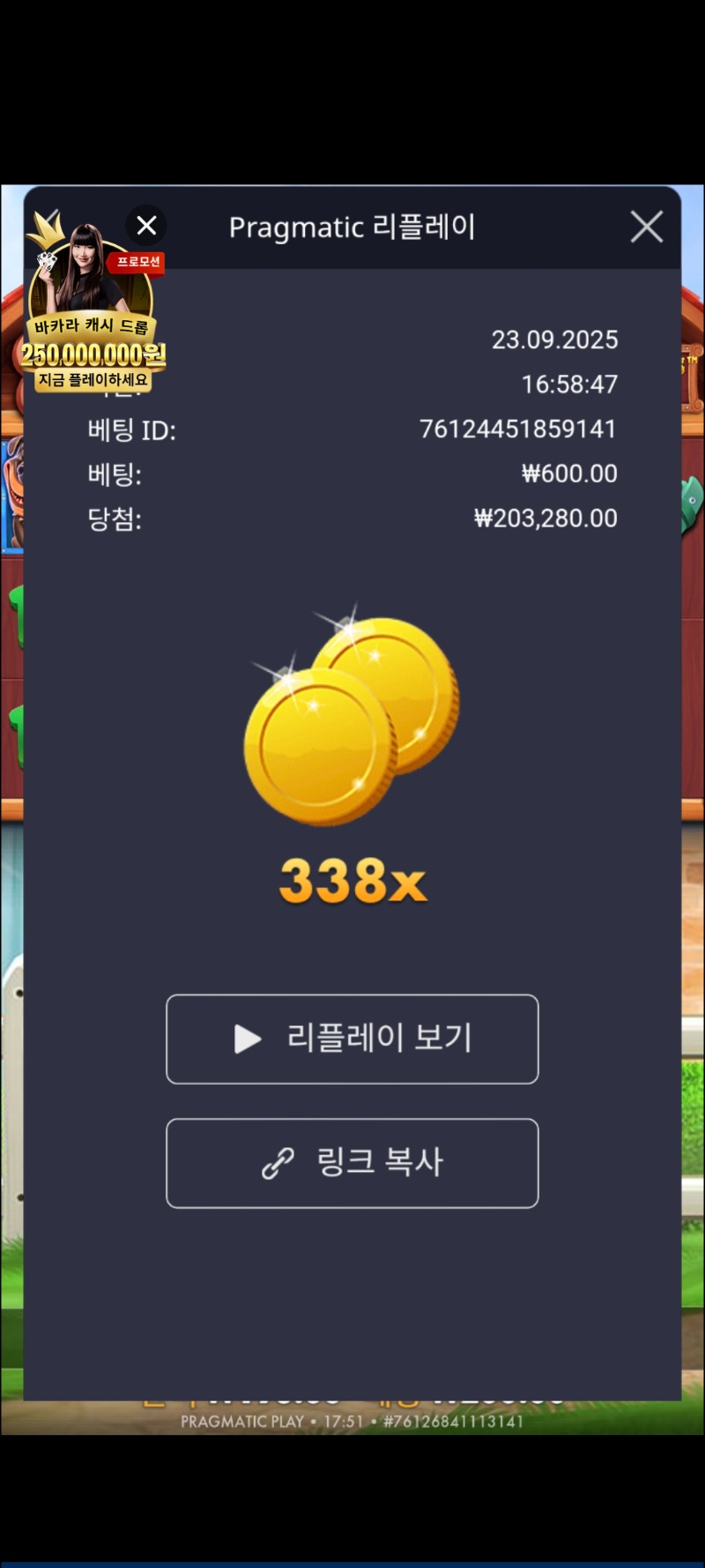 도메가 338
