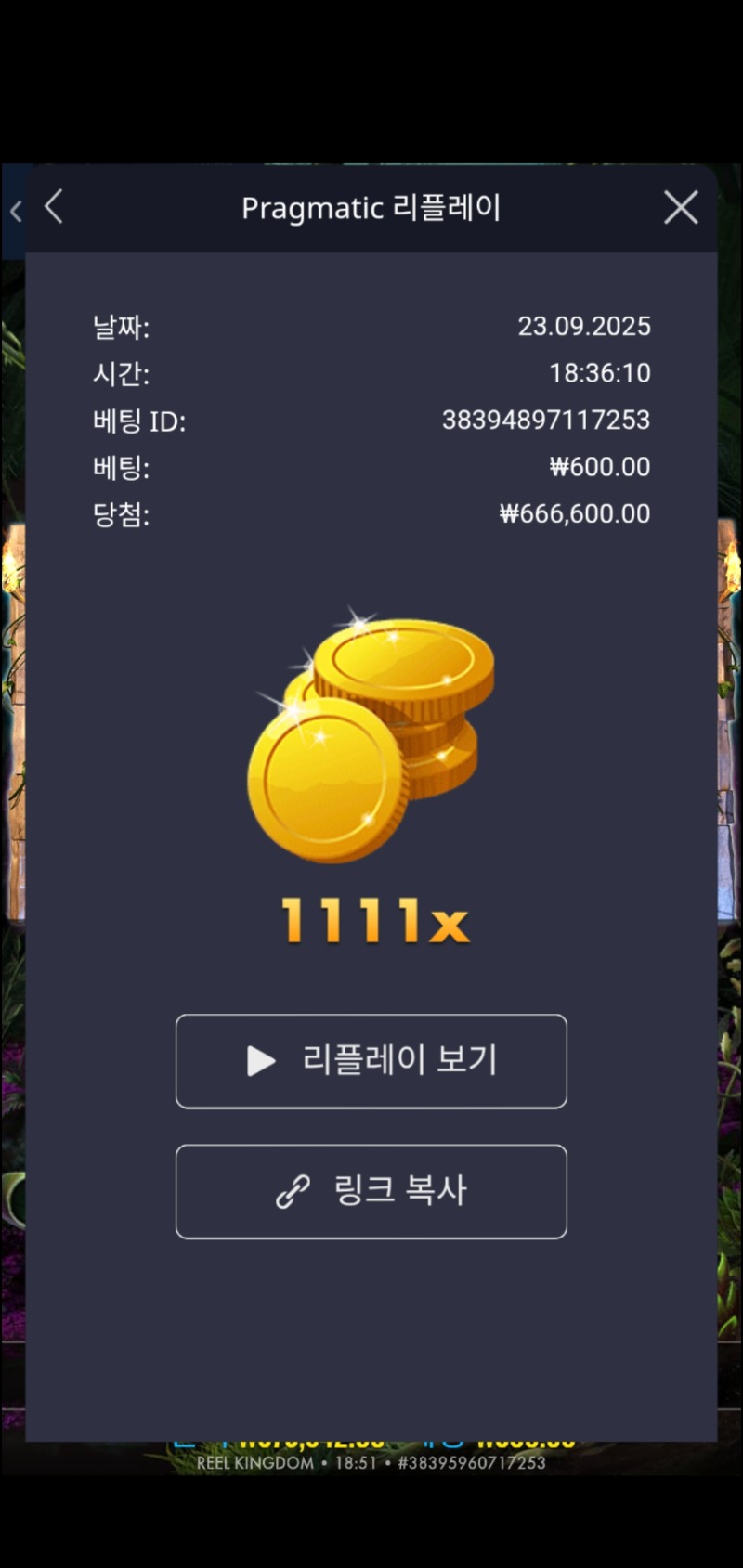 락베가스 1111