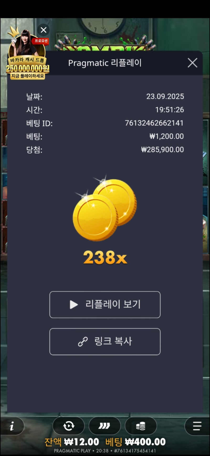 좀쿨238