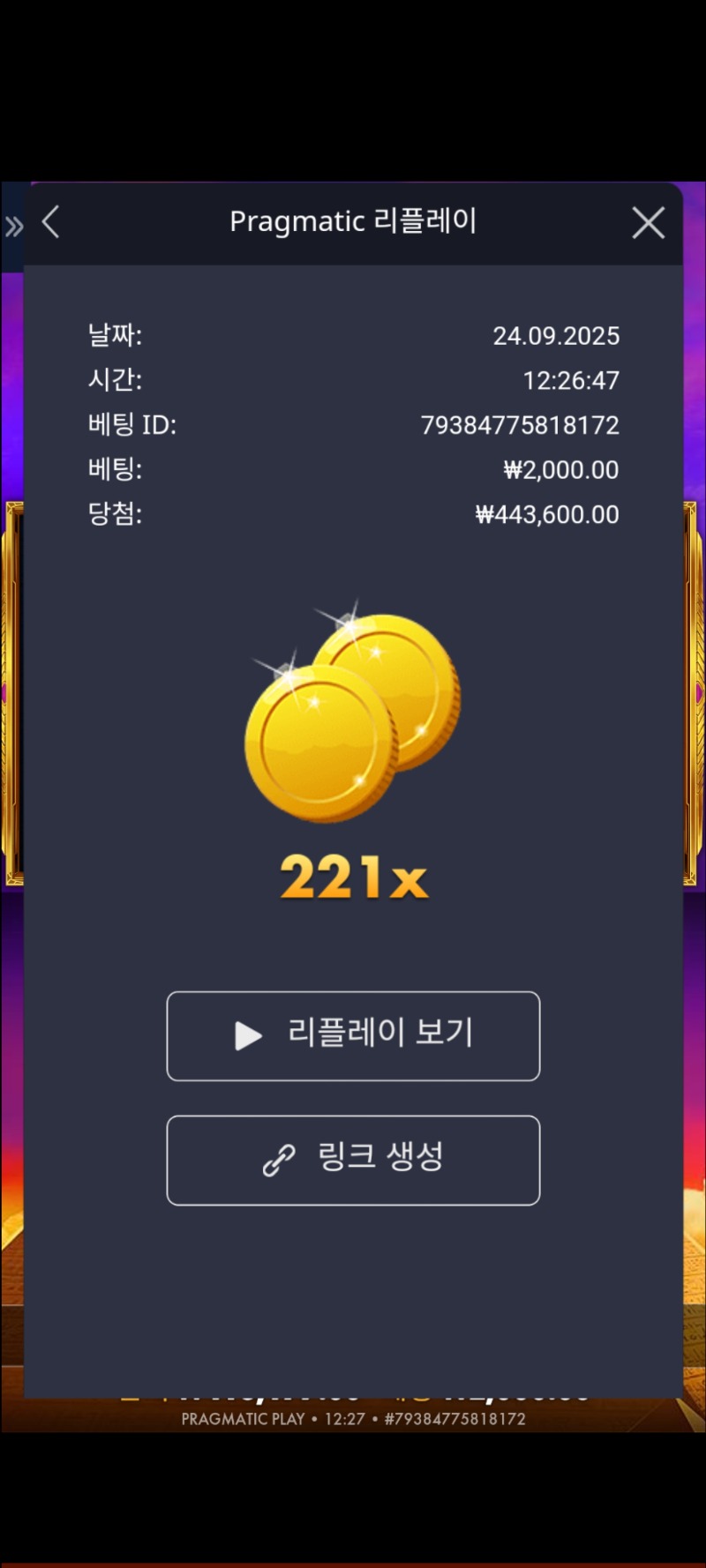 포오기221배