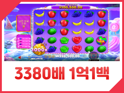 시안 레드 회원님 스위트보난자1000 3380배 1억1백 영상