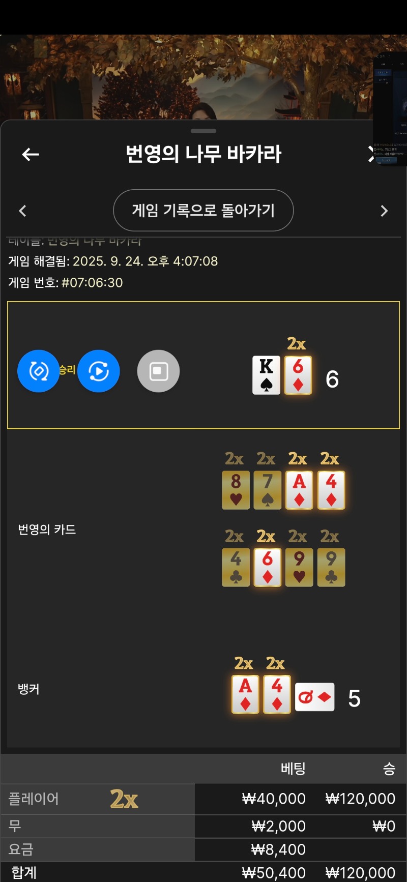 문 카라
