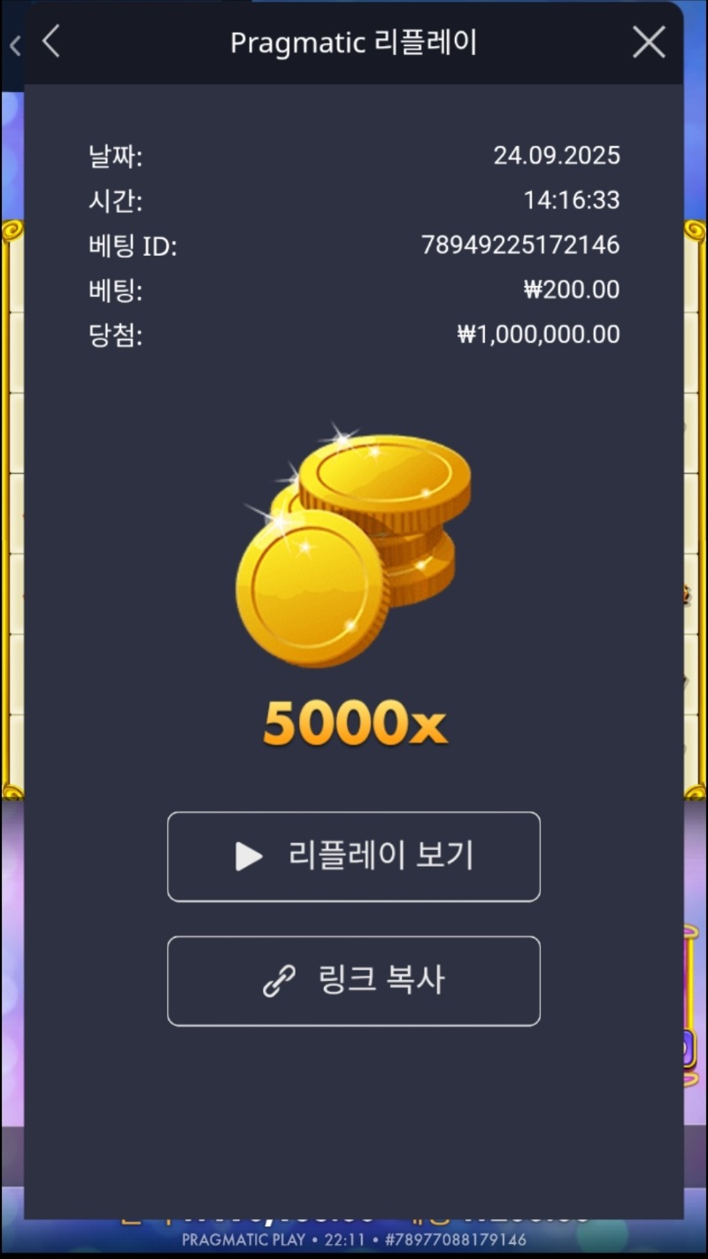 주얼러쉬 5000