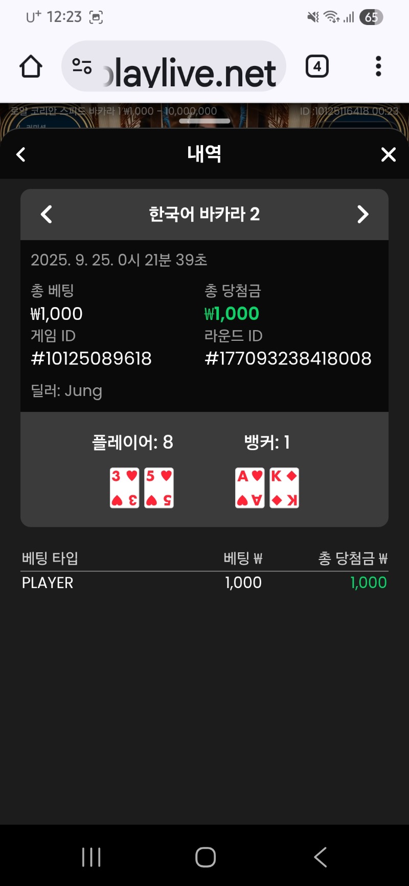 바카라 이김