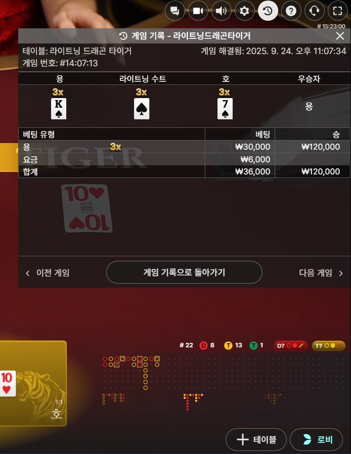 라이트닝용호 승