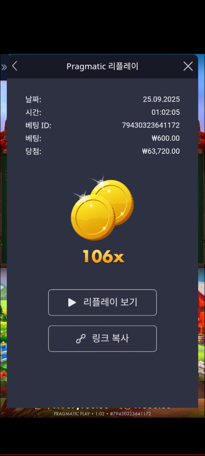 닭집106배