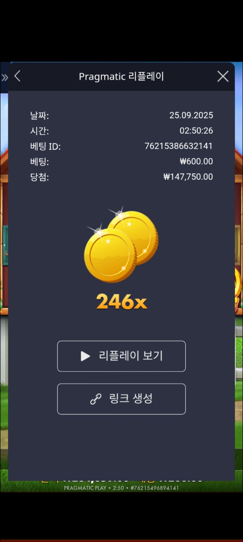 개집 246배