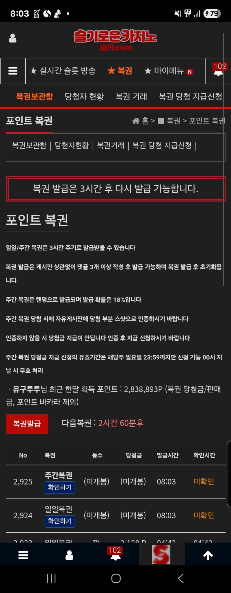 이번주 첫쌍복