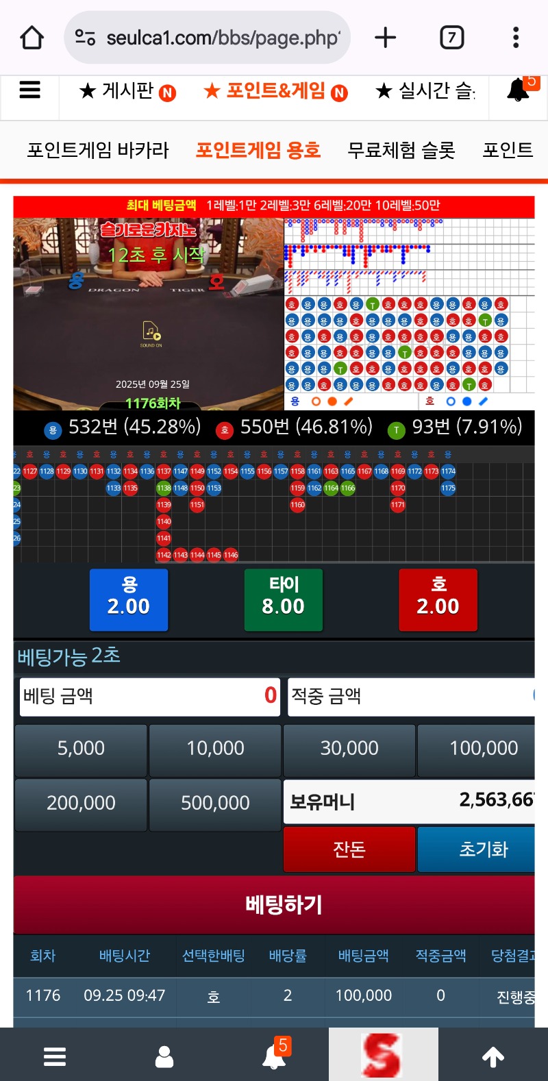 형난 슬용호로 점치기~~