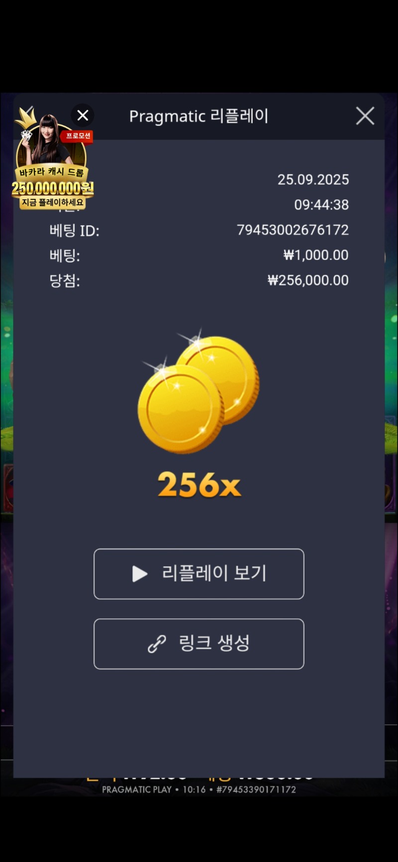 멀린 256